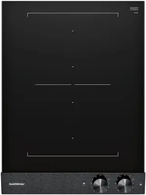 VI242120-Gaggenau-Domino-element