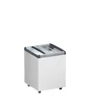 LIEBHERR-EFE155221-Prof/Horeca vrieskisten
