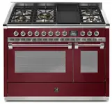 STEEL-AQ12SF4BMBR-Gas fornuis